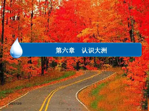 中考地理 亚洲与欧洲复习课件