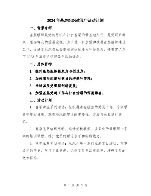 2024年基层组织建设年活动计划