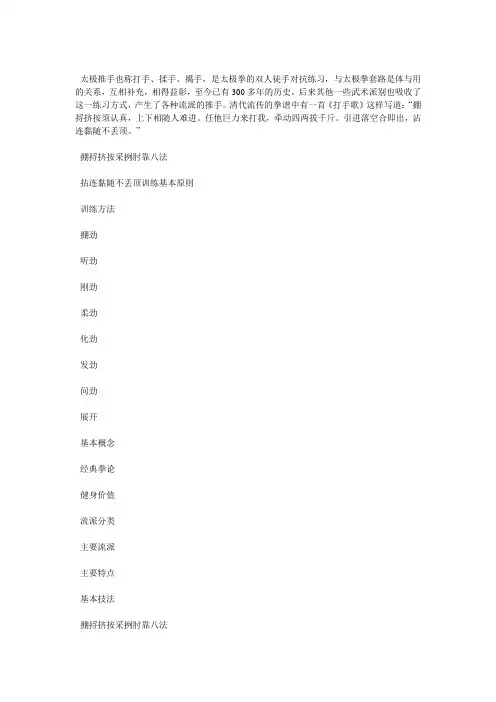 太极推手也称打手