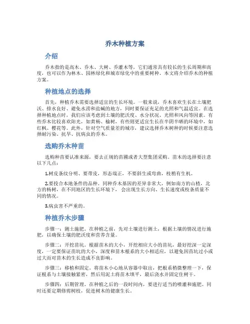 乔木种植方案