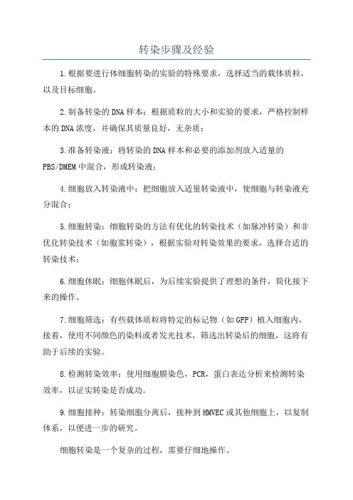 转染步骤及经验