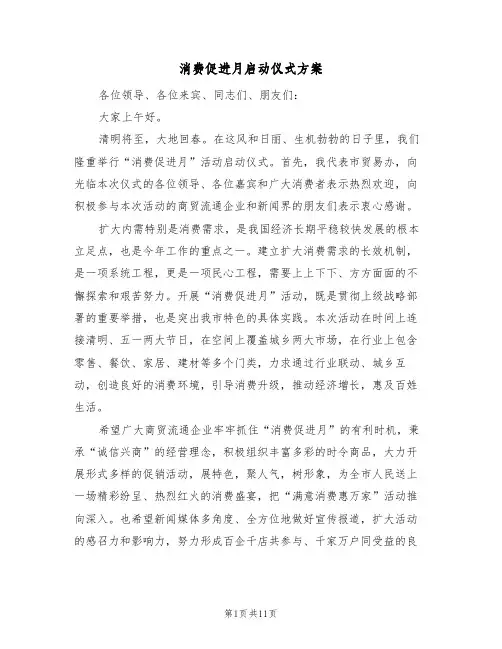 消费促进月启动仪式方案（四篇）