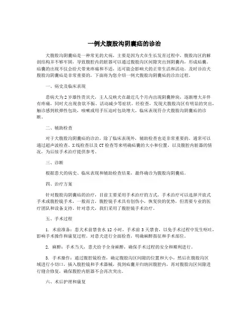 一例犬腹股沟阴囊疝的诊治