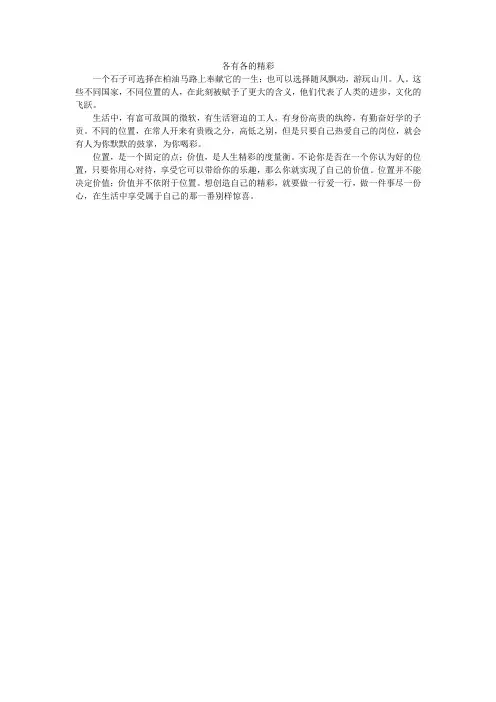 各有各的精彩_高中作文