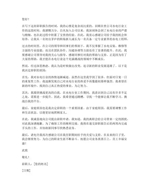 水电行业辞职报告