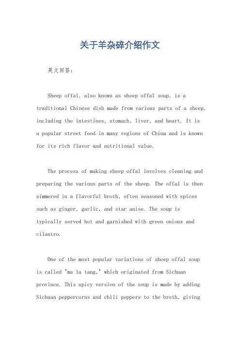 关于羊杂碎介绍作文