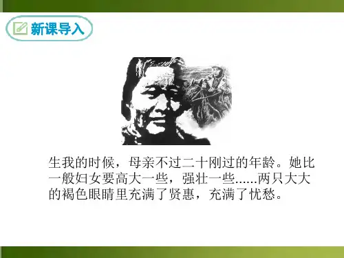 统编版(2024)七年级语文上册《回忆我的母亲》PPT课件 (15)