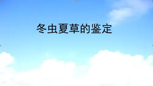 冬虫夏草的鉴定
