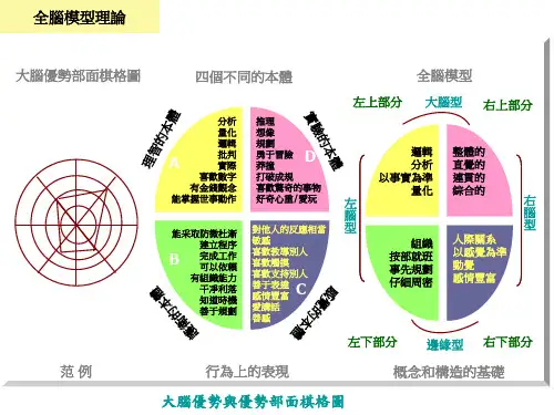大脑分布图
