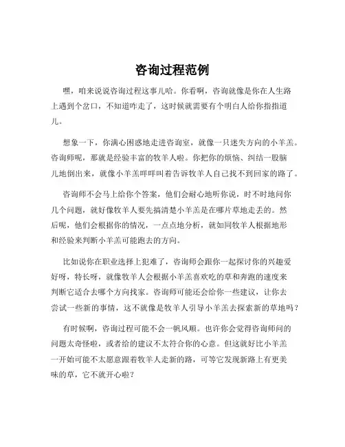 咨询过程范例