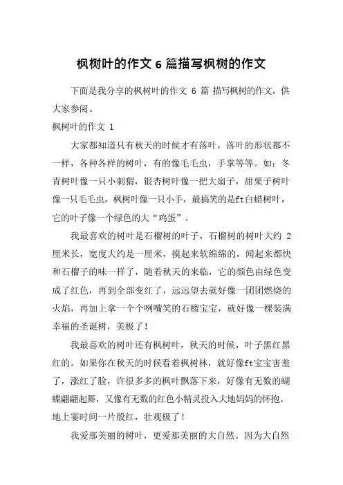 枫树叶的作文6篇描写枫树的作文