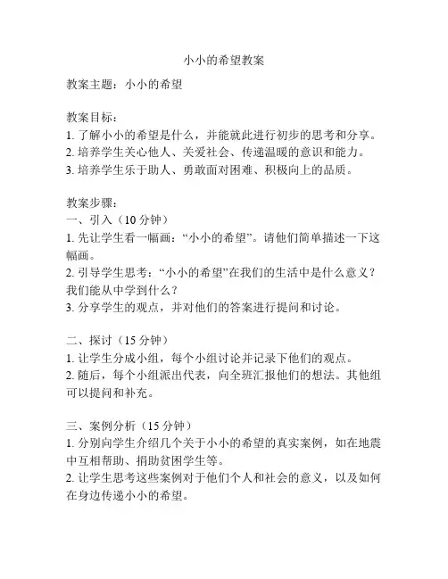 小小的希望教案