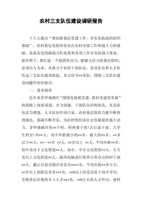 农村三支队伍建设调研报告[工作范文]