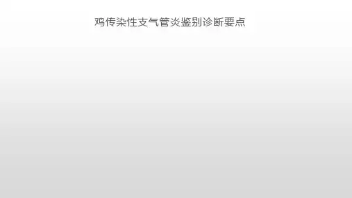 鸡传染性支气管炎鉴别诊断要点