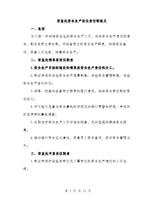 安监处安全生产岗位责任制范文（5篇）