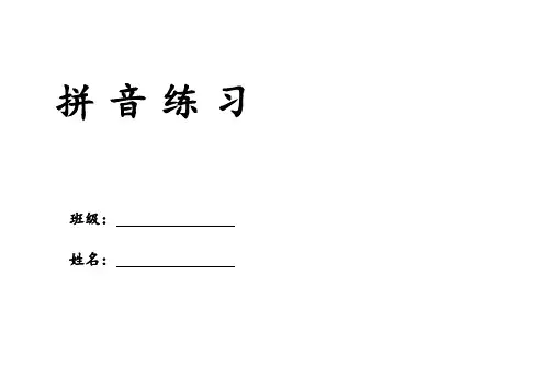 一年级(上) 拼读拼音练习