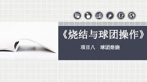 项目八 球团焙烧