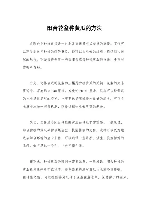 阳台花盆种黄瓜的方法