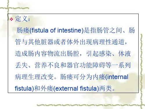 肠瘘病人的护理-医学课件