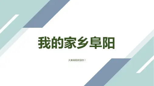 我的家乡阜阳