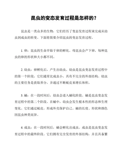 昆虫的变态发育过程是怎样的？