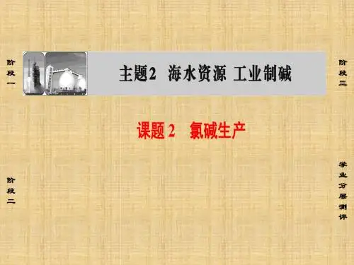 2018年学习工业制碱课件PPT