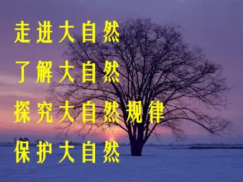 9.自然之道(完美版)