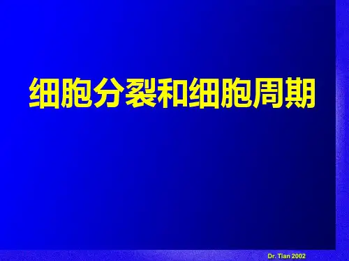 染色质、染色体、基因和基因组