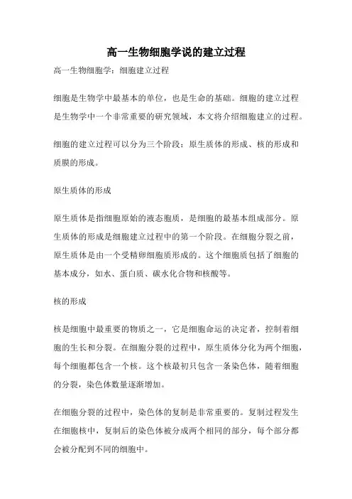 高一生物细胞学说的建立过程
