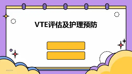 2024版VTE评估及护理预防