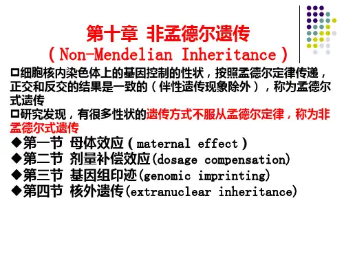 第十章-非孟德尔遗传ppt课件
