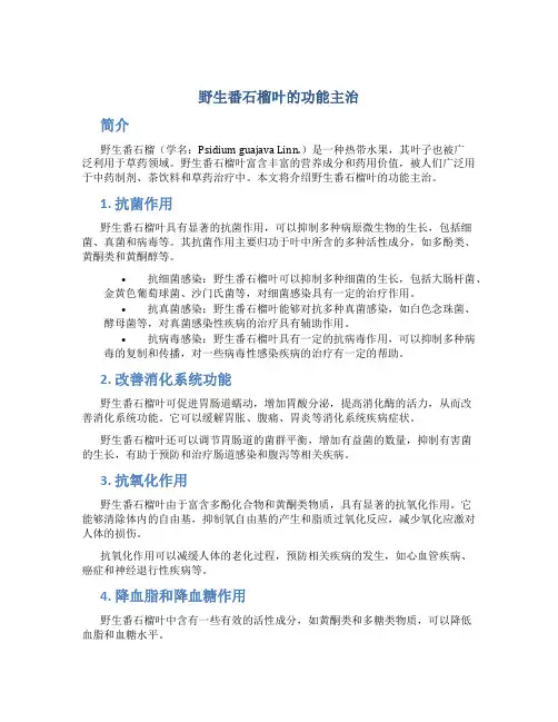 野生番石榴叶的功能主治