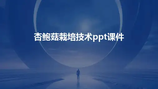 杏鲍菇栽培技术ppt课件
