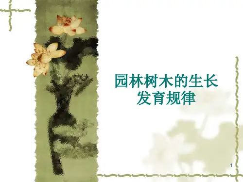 3-园林树木生长发育规律