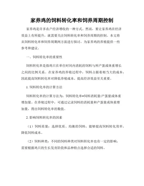 家养鸡的饲料转化率和饲养周期控制