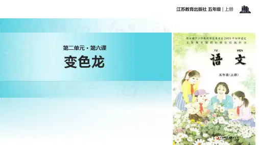 变色龙  PPT课件