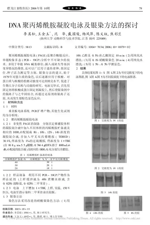 DNA聚丙烯酰胺凝胶电泳及银染方法的探讨_李其松