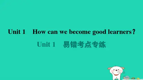 九年级英语全册Unit易错考点专练新版人教新目标版