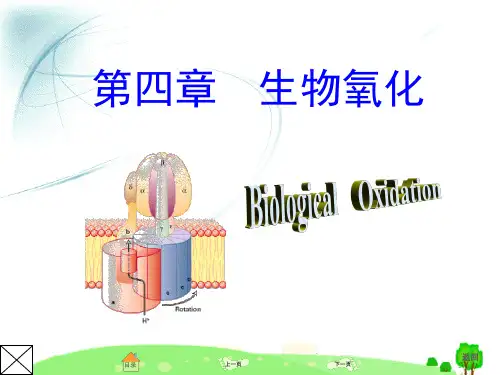 《生物化学》第四章  生物氧化