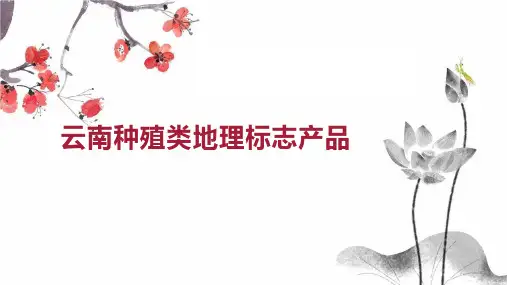 云南种殖类地理标志产品