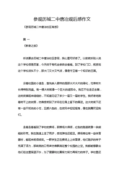 参观历城二中唐冶观后感作文