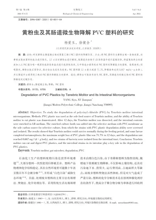黄粉虫及其肠道微生物降解PVC塑料的研究
