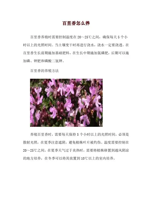 百里香怎么养