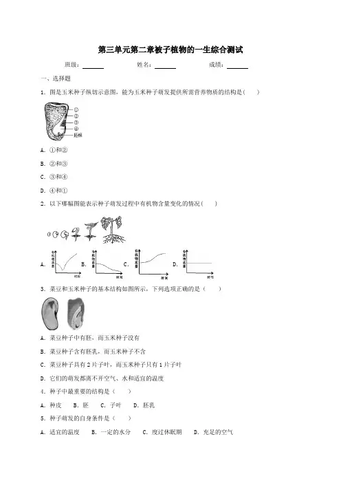 人教版生物七年级上册第三单元第二章被子植物的一生综合测试(含答案)