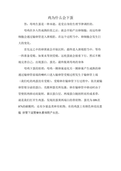 鸡为什么会下蛋