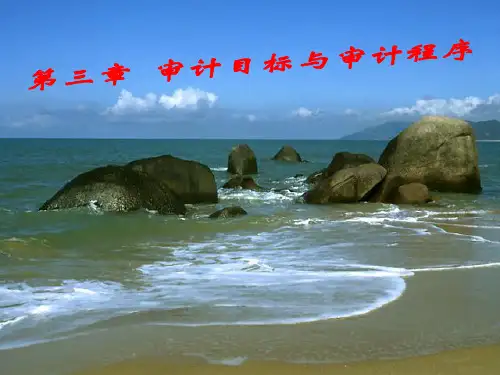 3第三章审计目标与审计程序