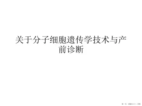 分子细胞遗传学技术与产前诊断