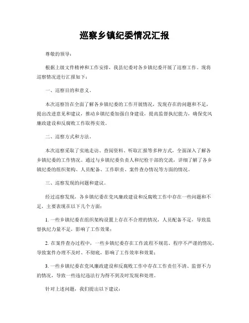 巡察乡镇纪委情况汇报