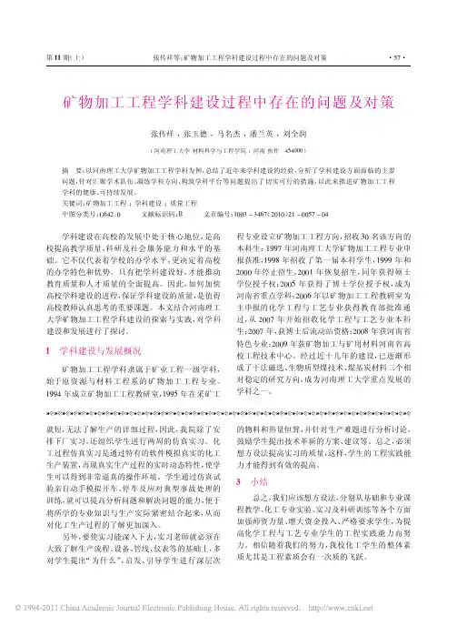 矿物加工工程学科建设过程中存在的问题及对策