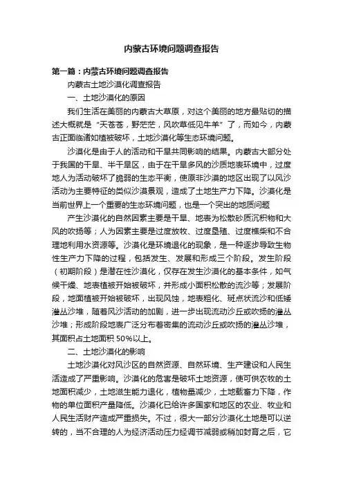 内蒙古环境问题调查报告